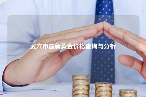 武穴市最新黄金价格查询与分析