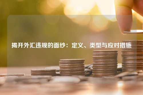 揭开外汇违规的面纱：定义、类型与应对措施